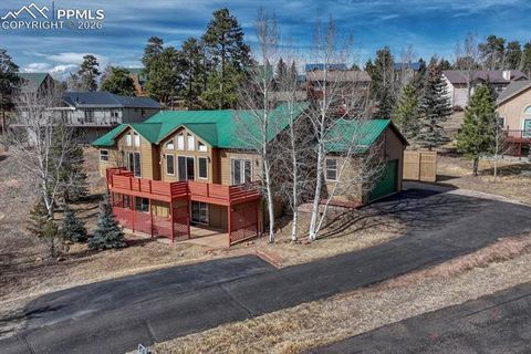 Photo of 131 Golden Court, Woodland Park, CO 80863 (MLS # 4398959)