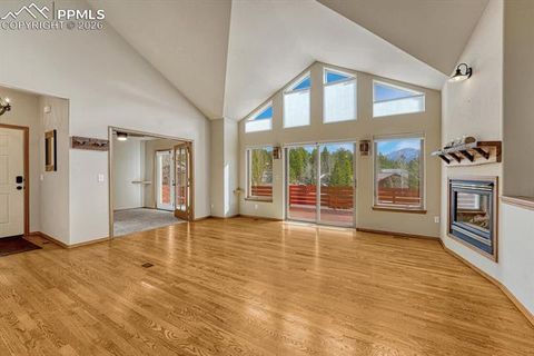 Tiny photo for 131 Golden Court, Woodland Park, CO 80863 (MLS # 4398959)