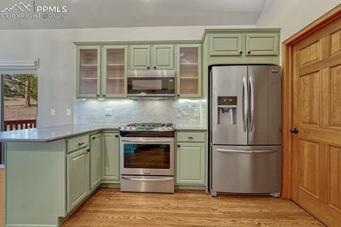 Tiny photo for 131 Golden Court, Woodland Park, CO 80863 (MLS # 4398959)