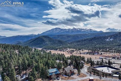 Tiny photo for 131 Golden Court, Woodland Park, CO 80863 (MLS # 4398959)