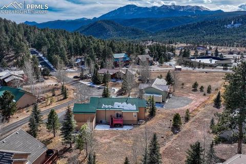 Tiny photo for 131 Golden Court, Woodland Park, CO 80863 (MLS # 4398959)