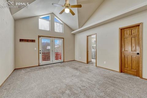 Tiny photo for 131 Golden Court, Woodland Park, CO 80863 (MLS # 4398959)