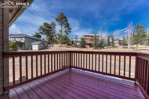 Tiny photo for 131 Golden Court, Woodland Park, CO 80863 (MLS # 4398959)