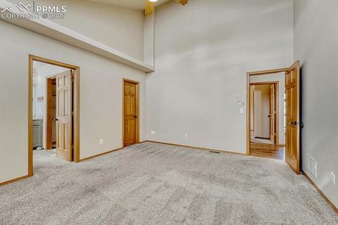 Tiny photo for 131 Golden Court, Woodland Park, CO 80863 (MLS # 4398959)