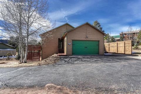 Tiny photo for 131 Golden Court, Woodland Park, CO 80863 (MLS # 4398959)