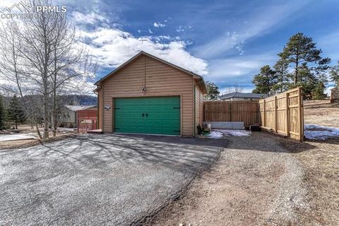 Tiny photo for 131 Golden Court, Woodland Park, CO 80863 (MLS # 4398959)