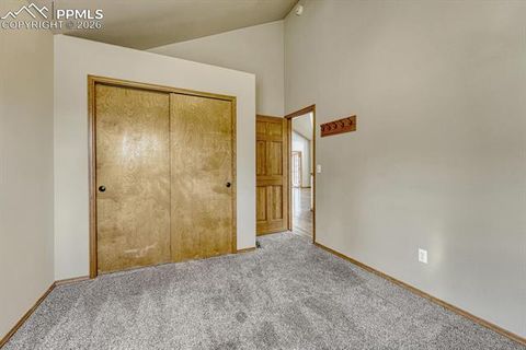 Tiny photo for 131 Golden Court, Woodland Park, CO 80863 (MLS # 4398959)