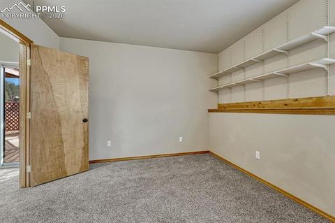 Tiny photo for 131 Golden Court, Woodland Park, CO 80863 (MLS # 4398959)