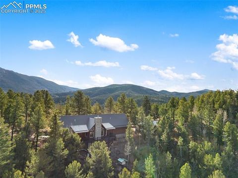 Tiny photo for 111 Blue Spruce Road, Divide, CO 80814 (MLS # 1894685)