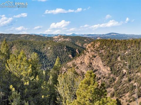 Tiny photo for 111 Blue Spruce Road, Divide, CO 80814 (MLS # 1894685)