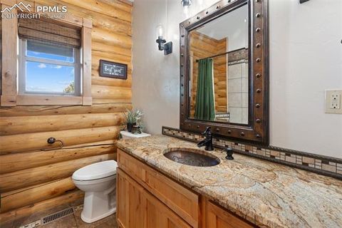 Tiny photo for 111 Blue Spruce Road, Divide, CO 80814 (MLS # 1894685)