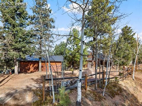 Tiny photo for 111 Blue Spruce Road, Divide, CO 80814 (MLS # 1894685)