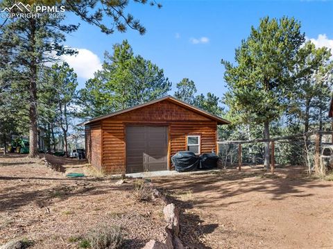 Tiny photo for 111 Blue Spruce Road, Divide, CO 80814 (MLS # 1894685)