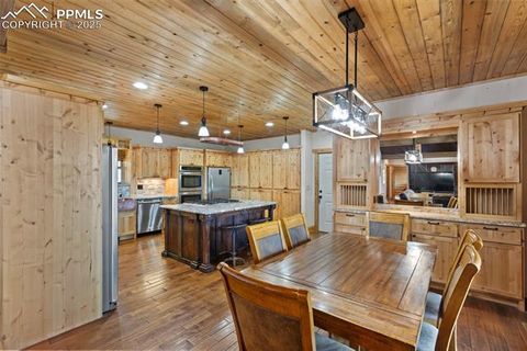 Tiny photo for 111 Blue Spruce Road, Divide, CO 80814 (MLS # 1894685)
