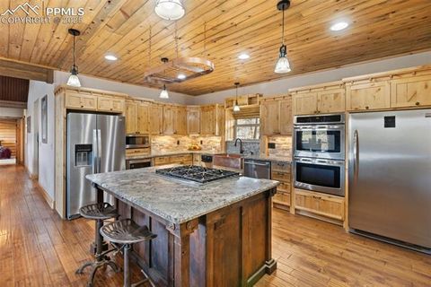 Tiny photo for 111 Blue Spruce Road, Divide, CO 80814 (MLS # 1894685)
