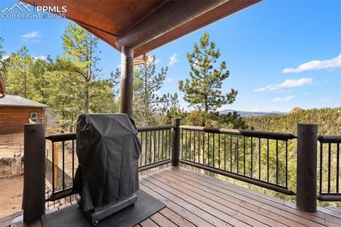Tiny photo for 111 Blue Spruce Road, Divide, CO 80814 (MLS # 1894685)