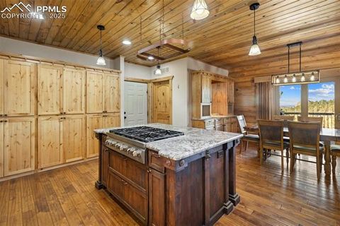 Tiny photo for 111 Blue Spruce Road, Divide, CO 80814 (MLS # 1894685)