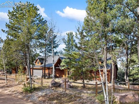 Tiny photo for 111 Blue Spruce Road, Divide, CO 80814 (MLS # 1894685)