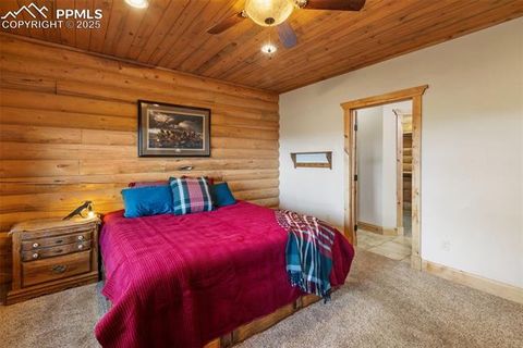 Tiny photo for 111 Blue Spruce Road, Divide, CO 80814 (MLS # 1894685)