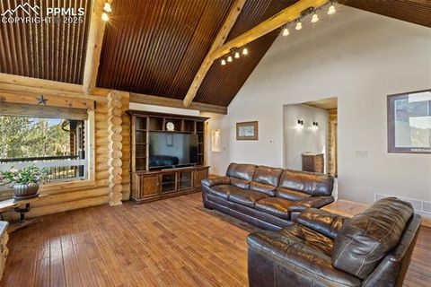 Tiny photo for 111 Blue Spruce Road, Divide, CO 80814 (MLS # 1894685)