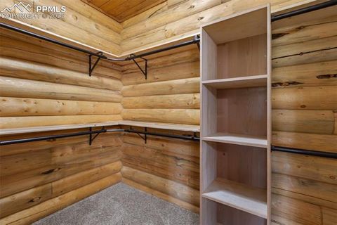 Tiny photo for 111 Blue Spruce Road, Divide, CO 80814 (MLS # 1894685)