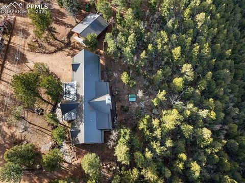 Tiny photo for 111 Blue Spruce Road, Divide, CO 80814 (MLS # 1894685)