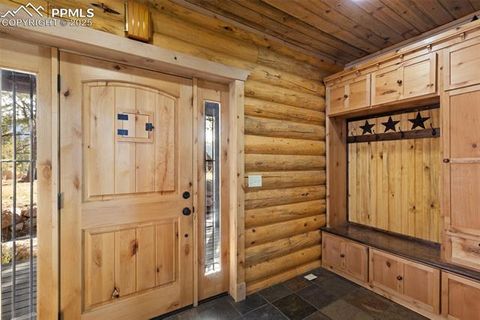 Tiny photo for 111 Blue Spruce Road, Divide, CO 80814 (MLS # 1894685)