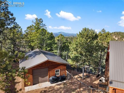 Tiny photo for 111 Blue Spruce Road, Divide, CO 80814 (MLS # 1894685)