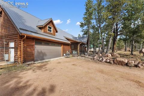Tiny photo for 111 Blue Spruce Road, Divide, CO 80814 (MLS # 1894685)