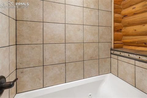 Tiny photo for 111 Blue Spruce Road, Divide, CO 80814 (MLS # 1894685)