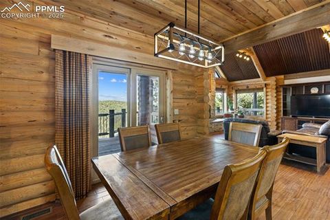 Tiny photo for 111 Blue Spruce Road, Divide, CO 80814 (MLS # 1894685)