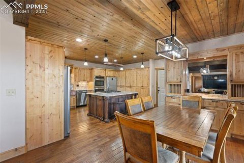 Tiny photo for 111 Blue Spruce Road, Divide, CO 80814 (MLS # 1894685)