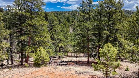 Photo of 16 View Circle, Florissant, CO 80816 (MLS # 9465717)
