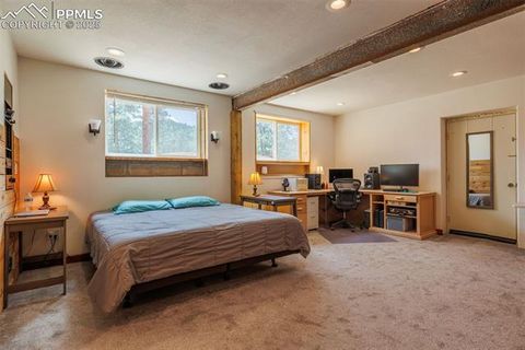 Tiny photo for 1251 Woodland Valley Ranch Drive, Woodland Park, CO 80863 (MLS # 4583623)