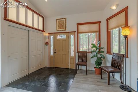 Tiny photo for 1251 Woodland Valley Ranch Drive, Woodland Park, CO 80863 (MLS # 4583623)