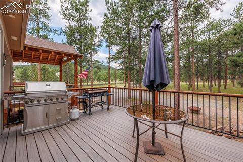 Tiny photo for 1251 Woodland Valley Ranch Drive, Woodland Park, CO 80863 (MLS # 4583623)