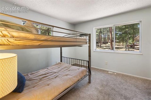 Tiny photo for 723 N Center Street, Woodland Park, CO 80863 (MLS # 6680724)