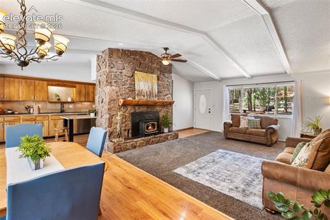 Tiny photo for 723 N Center Street, Woodland Park, CO 80863 (MLS # 6680724)