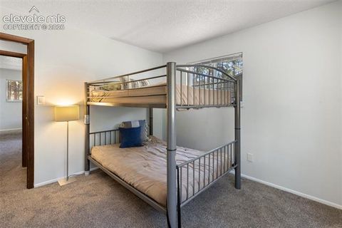 Tiny photo for 723 N Center Street, Woodland Park, CO 80863 (MLS # 6680724)