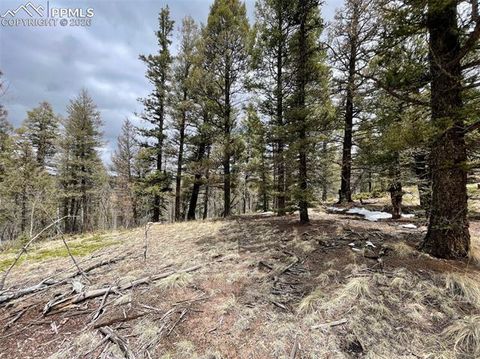 Photo of 228 Alpine Drive, Florissant, CO 80816 (MLS # 4384289)