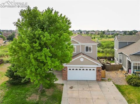 Photo of 6481 Summer Grace Street, Colorado Springs, CO 80923 (MLS # 8321754)