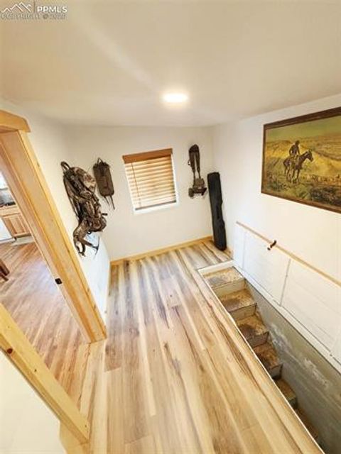 Tiny photo for 419 Buffalo Street, Simla, CO 80835 (MLS # 2026968)