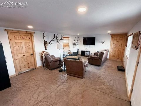 Tiny photo for 419 Buffalo Street, Simla, CO 80835 (MLS # 2026968)