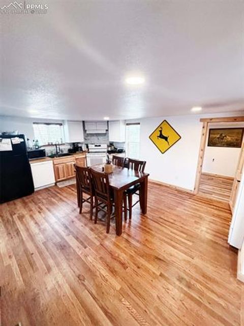 Tiny photo for 419 Buffalo Street, Simla, CO 80835 (MLS # 2026968)