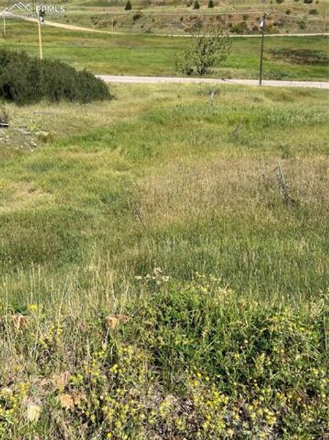 Photo of S First Street, Cripple Creek, CO 80813 (MLS # 7770662)