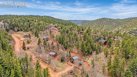 Tiny photo for 325 Willow Road, Divide, CO 80814 (MLS # 4192722)