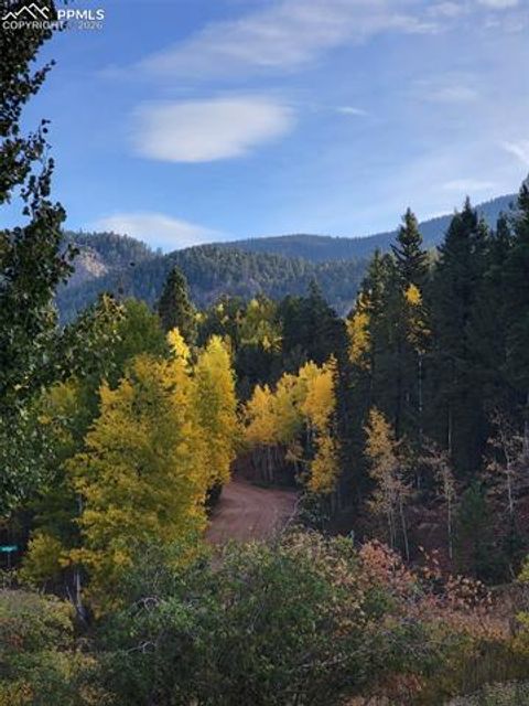 Tiny photo for 325 Willow Road, Divide, CO 80814 (MLS # 4192722)