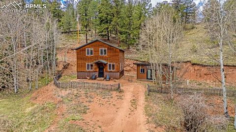 Tiny photo for 325 Willow Road, Divide, CO 80814 (MLS # 4192722)
