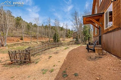 Tiny photo for 325 Willow Road, Divide, CO 80814 (MLS # 4192722)