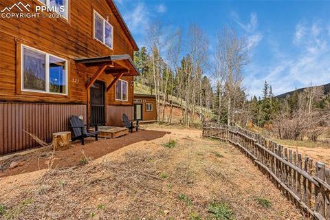 Tiny photo for 325 Willow Road, Divide, CO 80814 (MLS # 4192722)